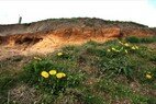 Klif in lente